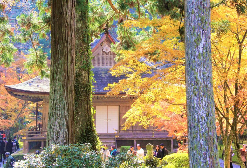 京都　紅葉　見ごろ　時期　ライトアップ　名所　穴場　ランキング　おすすめ　寺 東福寺　三千院　嵐山　化野念仏寺　愛宕念仏寺　車折神社　直指庵　清滝　錦雲渓神護寺　今熊野観音寺　寂光院　貴船神社　嵯峨鳥居本　愛宕神社　一之鳥居　野宮神社　哲学の道　