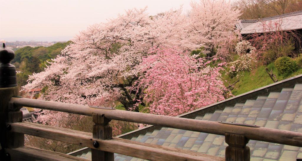 大阪「サムハラ神社」