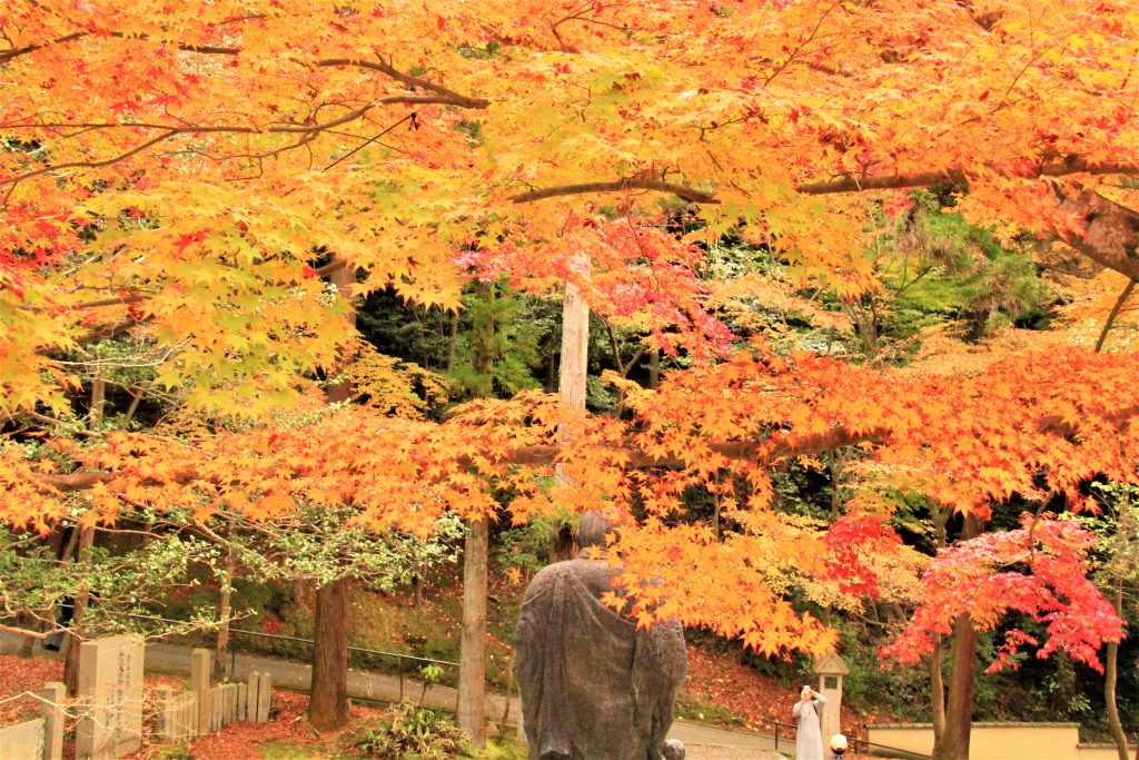 京都　紅葉　見ごろ　時期　ライトアップ　名所　穴場　ランキング　おすすめ　寺 東福寺　三千院　嵐山　化野念仏寺　愛宕念仏寺　車折神社　直指庵　清滝　錦雲渓神護寺　今熊野観音寺　寂光院　貴船神社　嵯峨鳥居本　愛宕神社　一之鳥居　野宮神社　哲学の道　