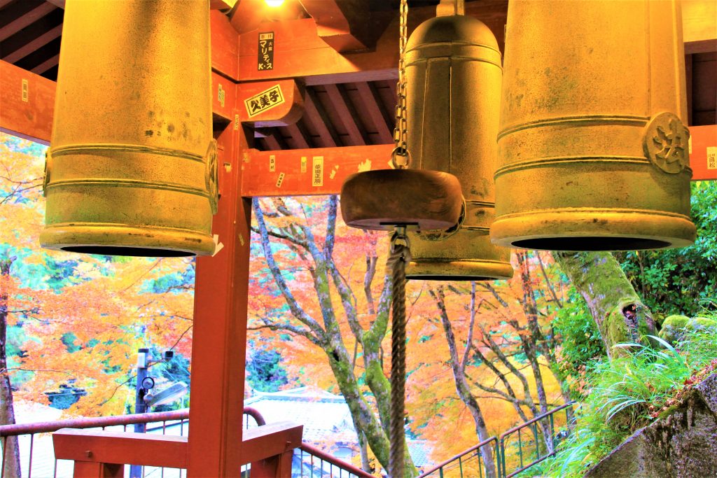 かわいい　阿羅漢　京都　愛宕念仏寺　紅葉　観光　名所　穴場　スポット　嵐山　嵯峨野　