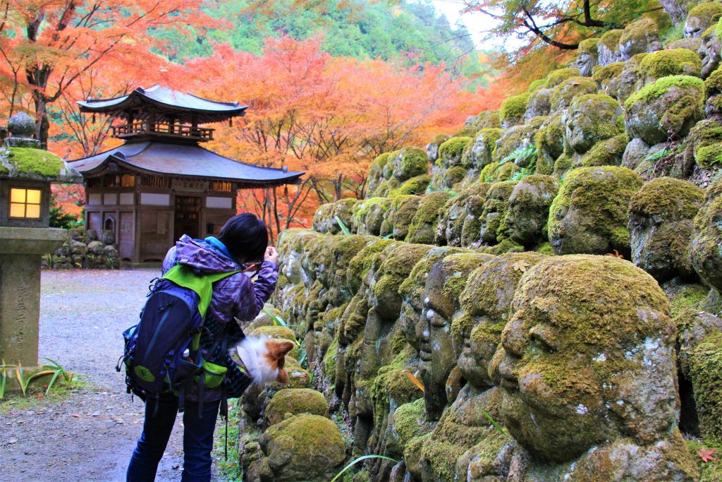 かわいい　阿羅漢　京都　愛宕念仏寺　紅葉　観光　名所　穴場　スポット　嵐山　嵯峨野　