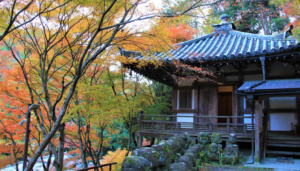 かわいい　阿羅漢　京都　愛宕念仏寺　紅葉　観光　名所　穴場　スポット　嵐山　嵯峨野　