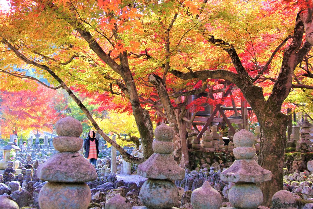 京都　嵐山　嵯峨野　散策　コース　おすすめ　観光　スポット　巡り　天龍寺　野宮神社　常寂光寺　二尊院　大覚寺　化野念仏寺　直指庵　竹林の道　トロッコ列車