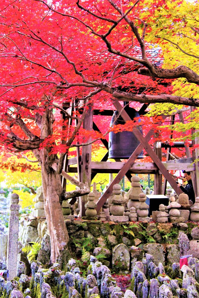 京都　観光　奥嵯峨野　紅葉　穴場　スポット　化野念仏寺（あだしのねんぶつじ）　 愛宕念仏寺（おたぎねんぶつじ）