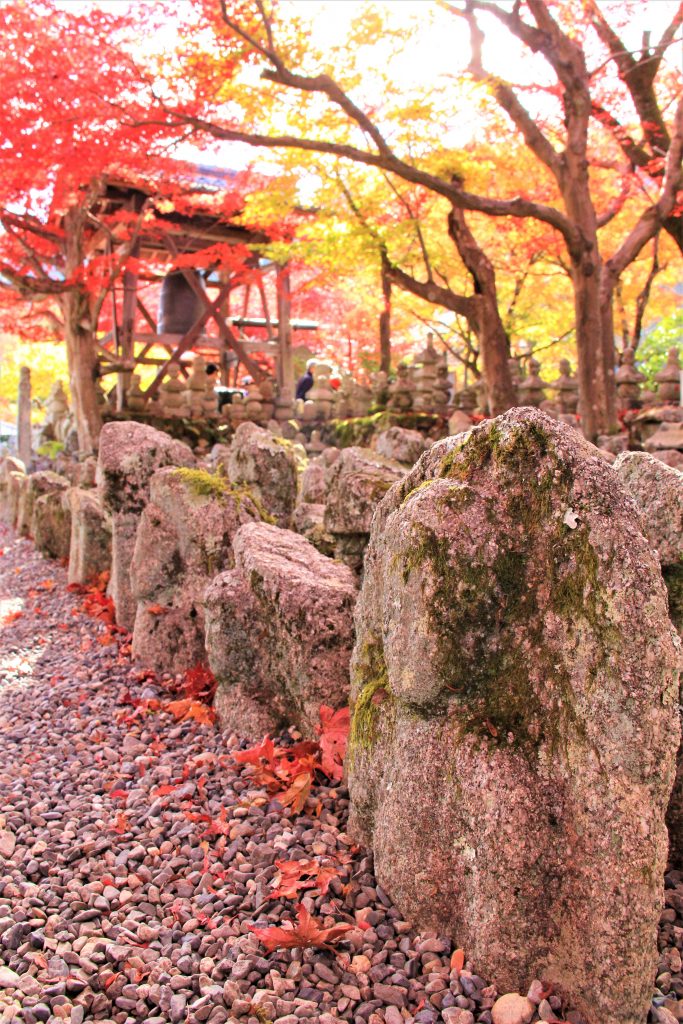 京都　観光　奥嵯峨野　紅葉　穴場　スポット　化野念仏寺（あだしのねんぶつじ）　 愛宕念仏寺（おたぎねんぶつじ）