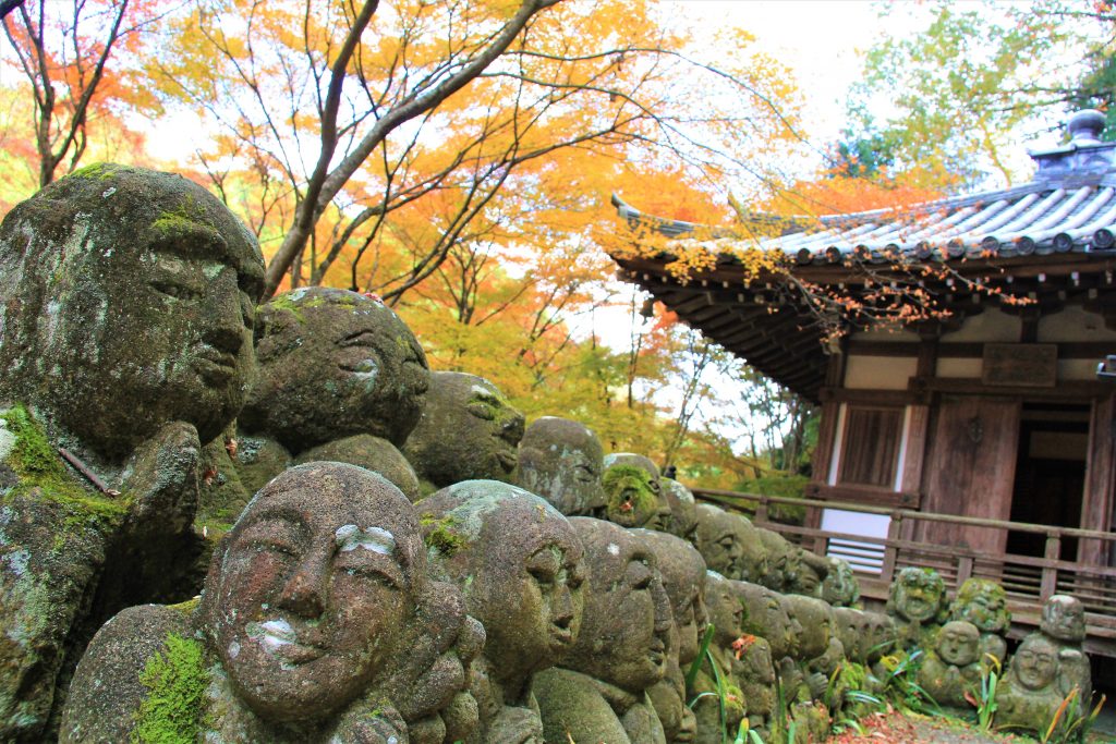 かわいい　阿羅漢　京都　愛宕念仏寺　紅葉　観光　名所　穴場　スポット　嵐山　嵯峨野　