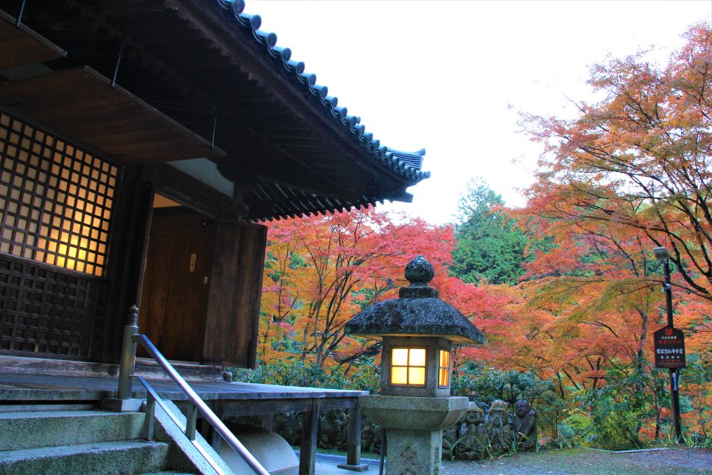 かわいい　阿羅漢　京都　愛宕念仏寺　紅葉　観光　名所　穴場　スポット　嵐山　嵯峨野　