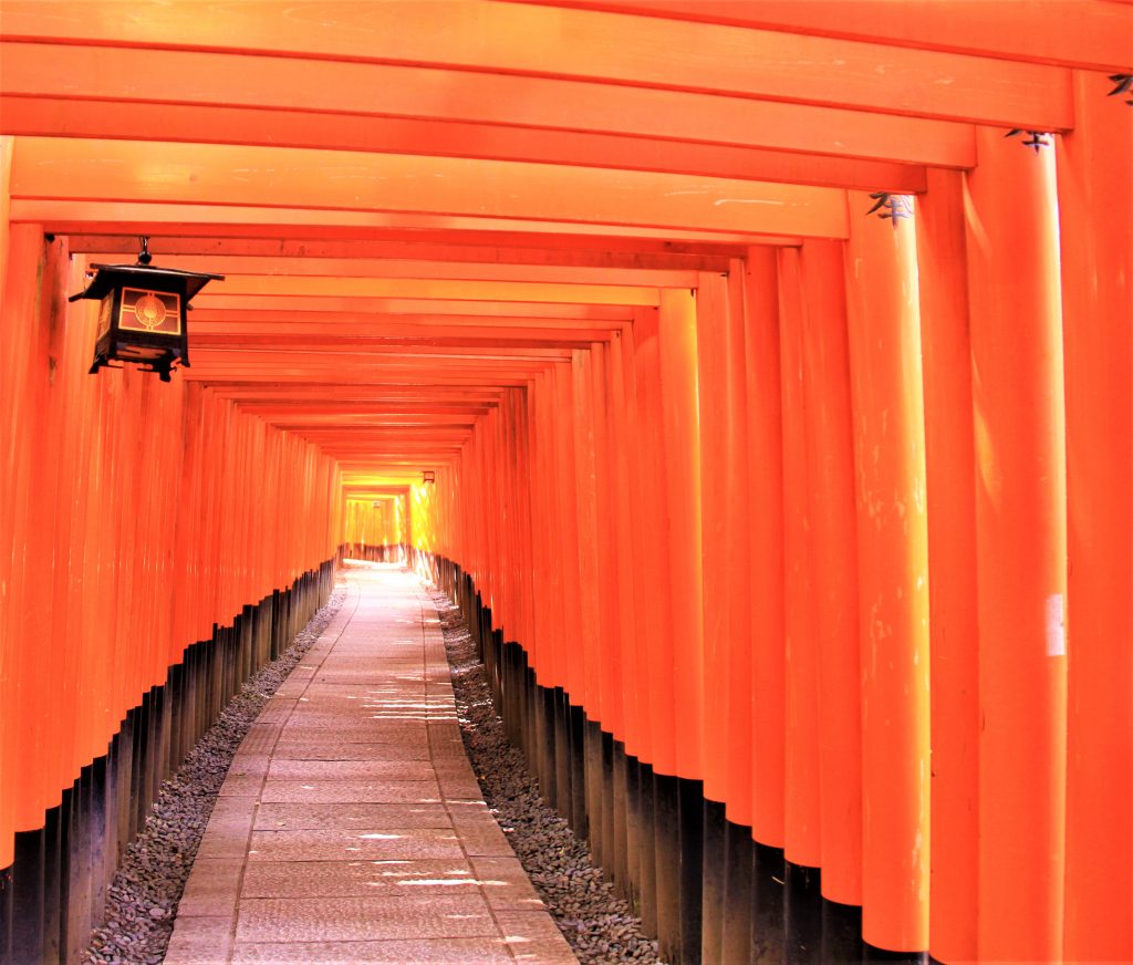 千本鳥居の他も見て