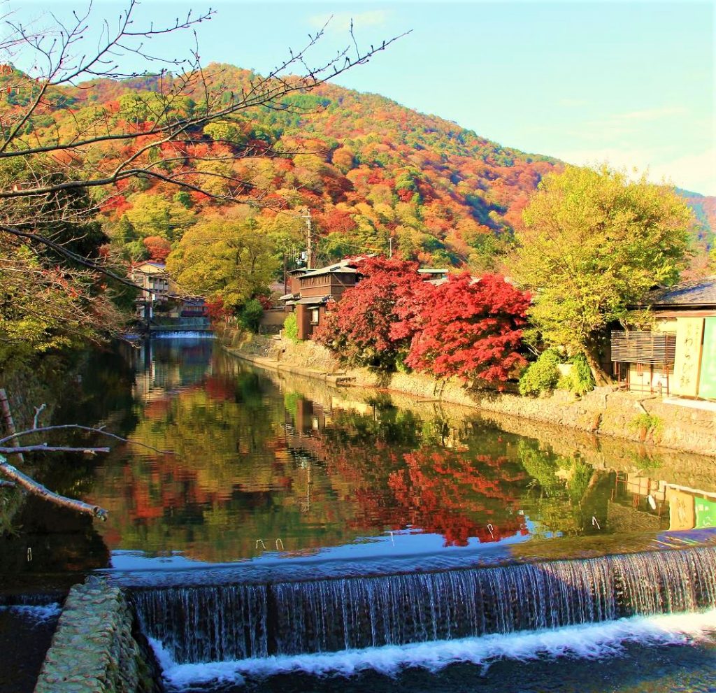 京都　嵐山　嵯峨野　散策　コース　おすすめ　観光　スポット　巡り　天龍寺　野宮神社　常寂光寺　二尊院　大覚寺　化野念仏寺　直指庵　竹林の道　トロッコ列車