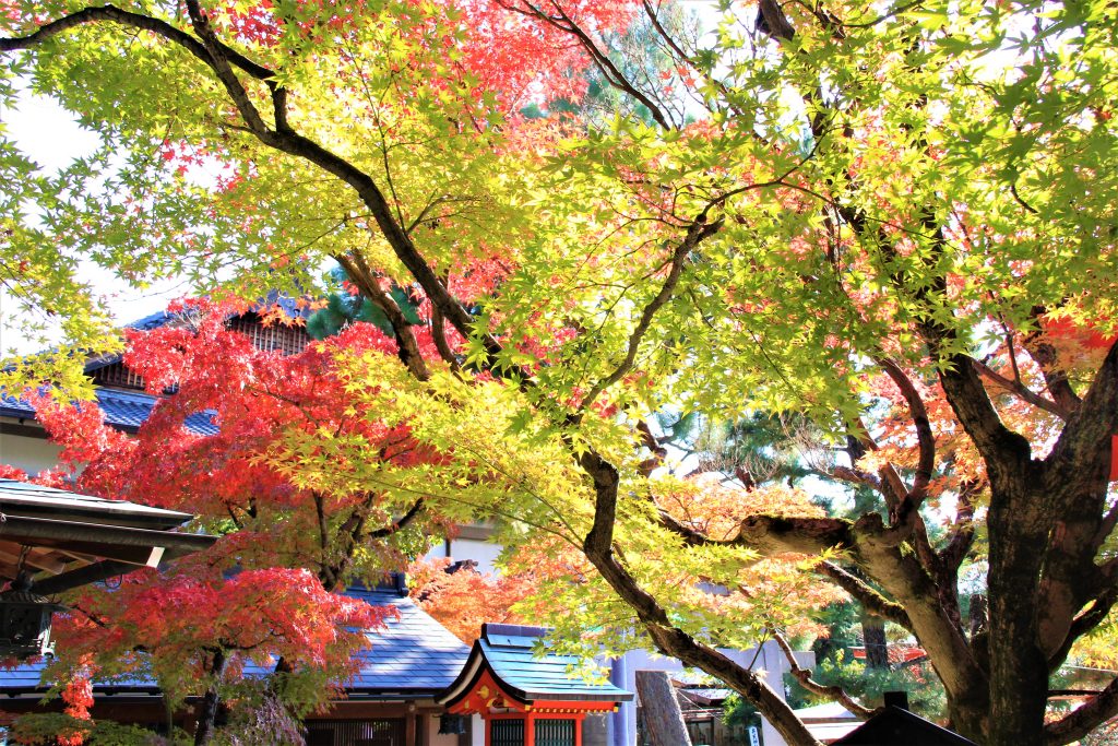 ジャニーズ　AKB48　京都　車折神社　芸能　最強　パワースポット　芸能神社　祈念神石　清めの社