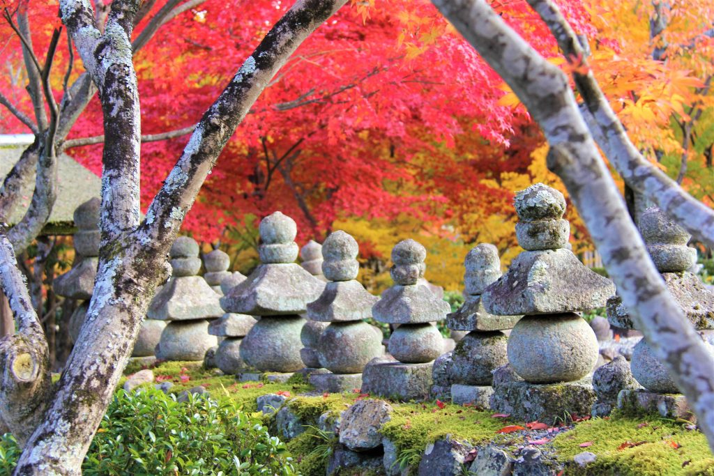 京都　観光　奥嵯峨野　紅葉　穴場　スポット　化野念仏寺（あだしのねんぶつじ）　 愛宕念仏寺（おたぎねんぶつじ）