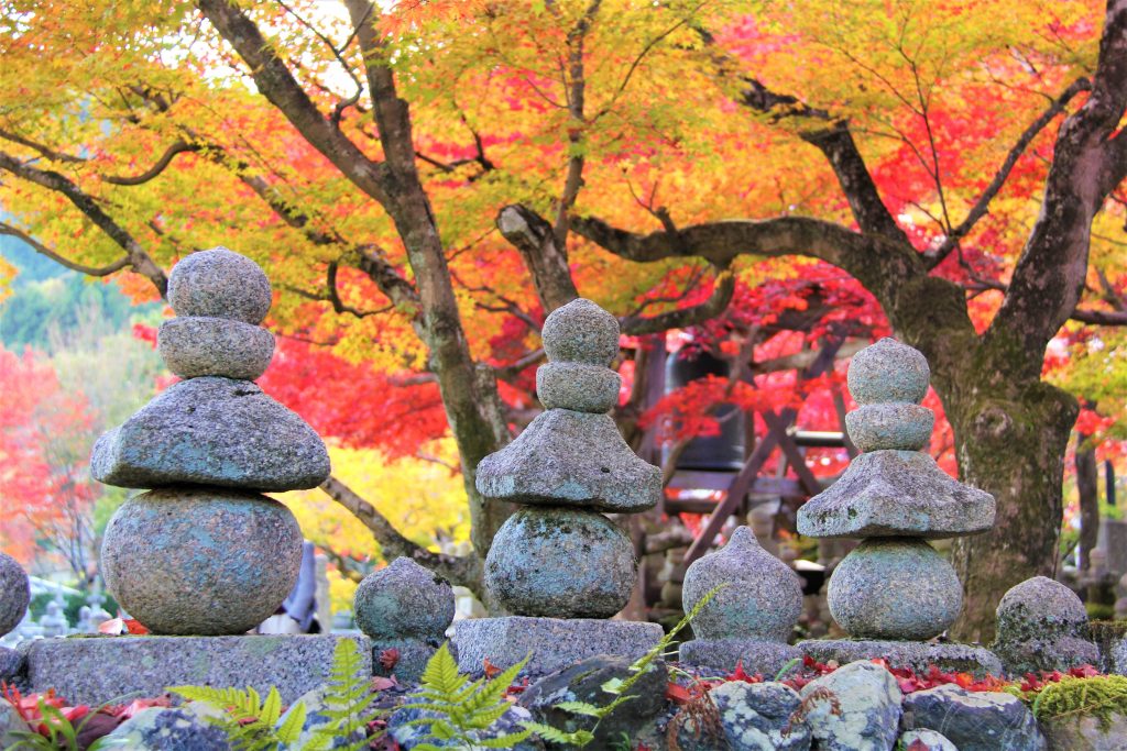 京都　嵐山　嵯峨野　散策　コース　おすすめ　観光　スポット　巡り　天龍寺　野宮神社　常寂光寺　二尊院　大覚寺　化野念仏寺　直指庵　竹林の道　トロッコ列車