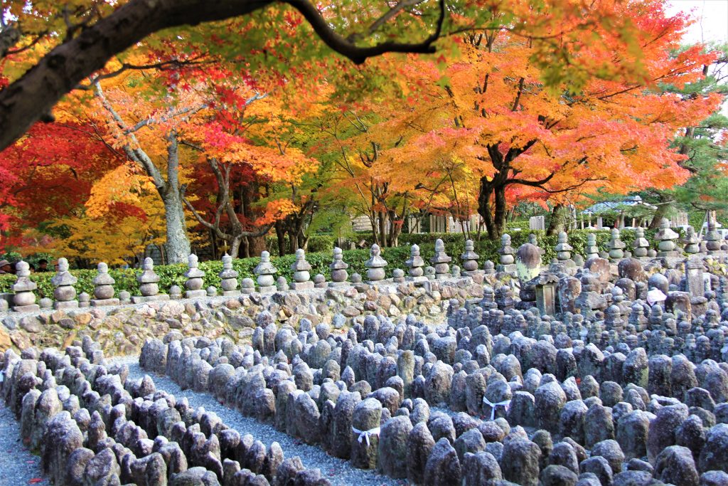 京都　観光　奥嵯峨野　紅葉　穴場　スポット　化野念仏寺（あだしのねんぶつじ）　 愛宕念仏寺（おたぎねんぶつじ）