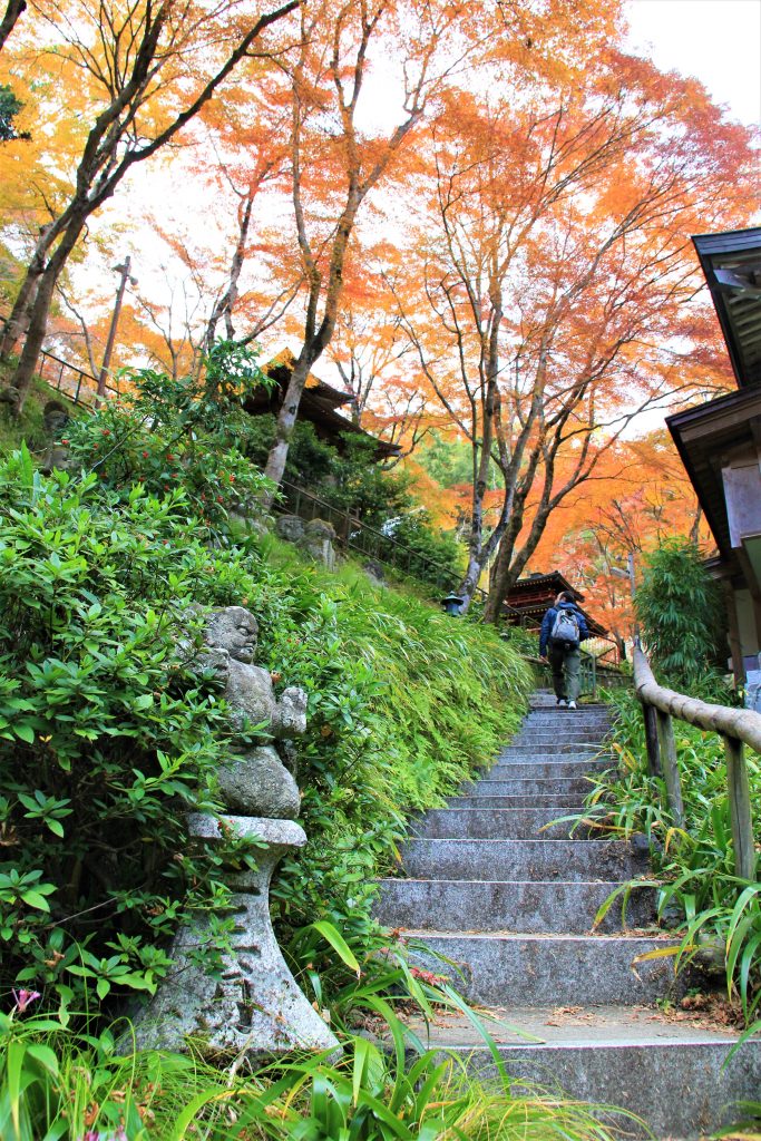 かわいい　阿羅漢　京都　愛宕念仏寺　紅葉　観光　名所　穴場　スポット　嵐山　嵯峨野　