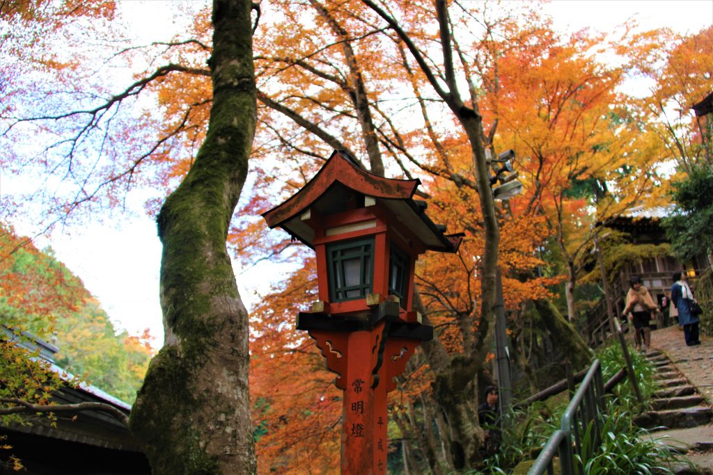 かわいい　阿羅漢　京都　愛宕念仏寺　紅葉　観光　名所　穴場　スポット　嵐山　嵯峨野　