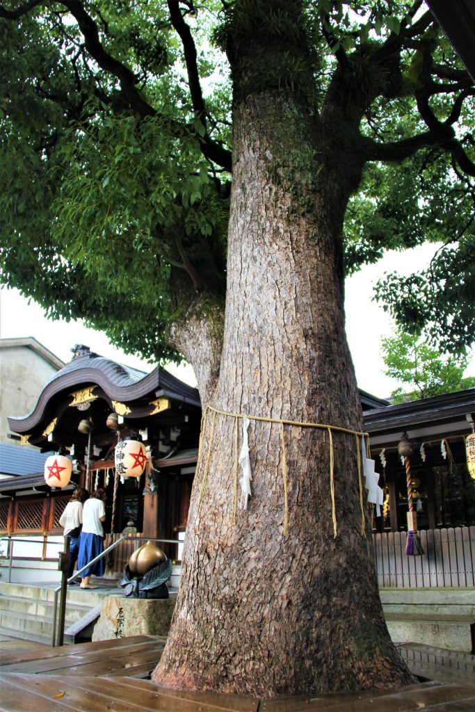 観光　京都　最強　パワースポット　巡り　恋愛　運気　アップ　神社　地主神社　清水寺　美御前社　八坂神社　晴明神社　北野天満宮　芸能神社　車折神社　アクセス　場所　行き方