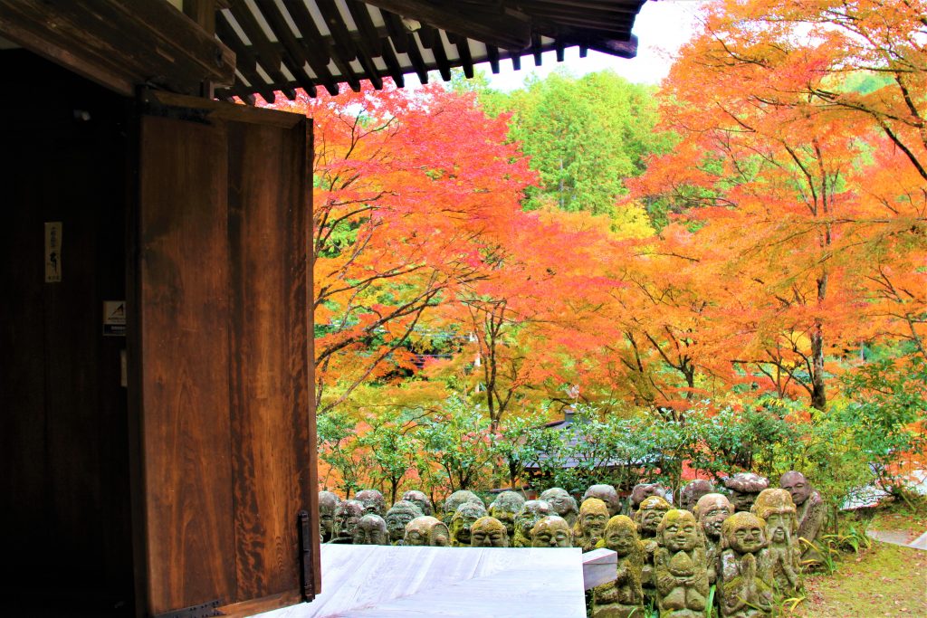 かわいい　阿羅漢　京都　愛宕念仏寺　紅葉　観光　名所　穴場　スポット　嵐山　嵯峨野　