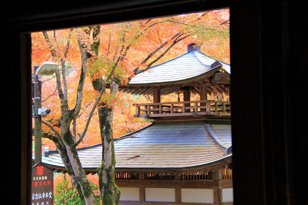 かわいい　阿羅漢　京都　愛宕念仏寺　紅葉　観光　名所　穴場　スポット　嵐山　嵯峨野　