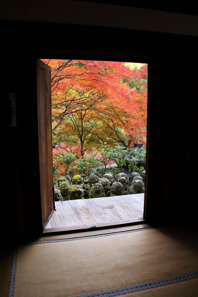 かわいい　阿羅漢　京都　愛宕念仏寺　紅葉　観光　名所　穴場　スポット　嵐山　嵯峨野　