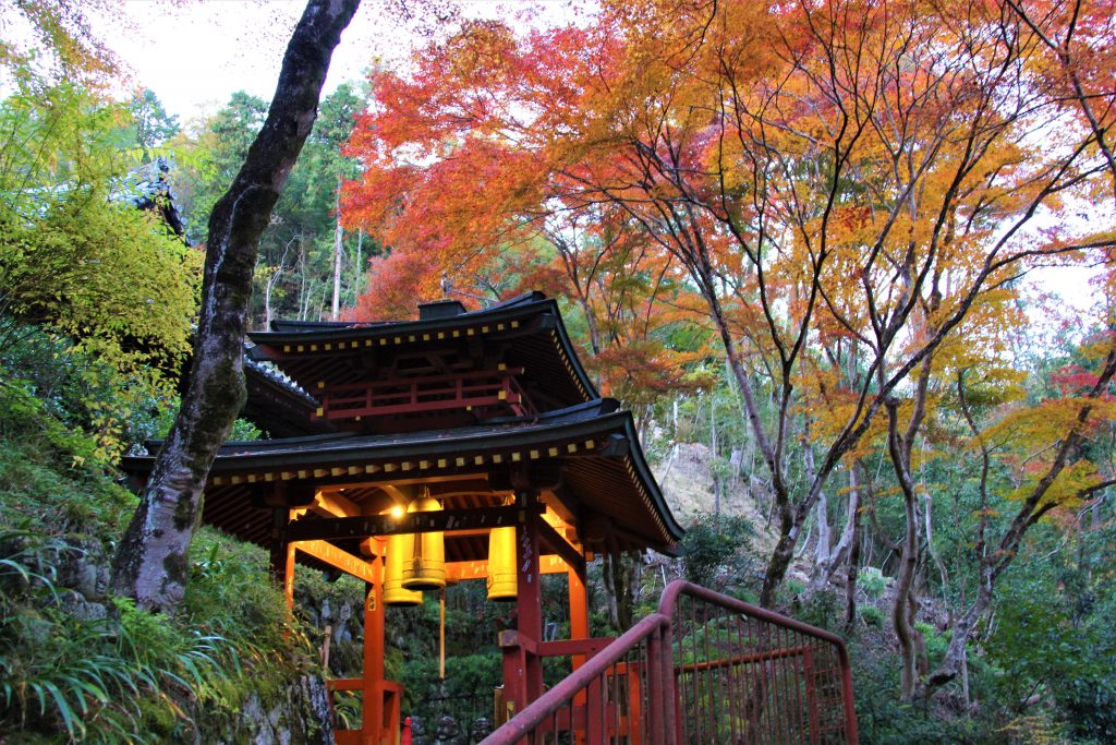 かわいい　阿羅漢　京都　愛宕念仏寺　紅葉　観光　名所　穴場　スポット　嵐山　嵯峨野　