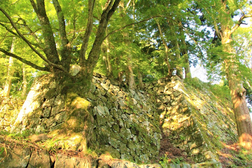 ラピュタ　神殿　奈良　奈良県　天空の城　高取城跡　高取城址　五百羅漢岩　ハイキング　ハイキングコース　壷阪寺　奈良県明日香村　日本三大山城　スタジオジブリ　人気アニメ