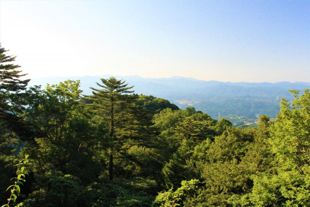 ラピュタ　神殿　奈良　奈良県　天空の城　高取城跡　高取城址　五百羅漢岩　ハイキング　ハイキングコース　壷阪寺　奈良県明日香村　日本三大山城　スタジオジブリ　人気アニメ