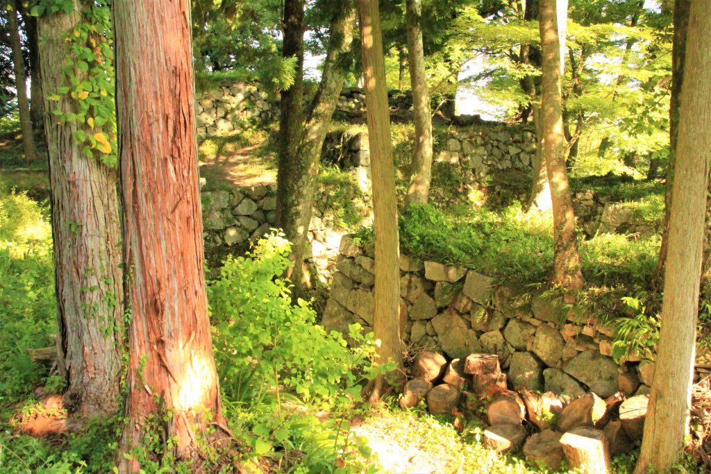 ラピュタ　神殿　奈良　奈良県　天空の城　高取城跡　高取城址　五百羅漢岩　ハイキング　ハイキングコース　壷阪寺　奈良県明日香村　日本三大山城　スタジオジブリ　人気アニメ