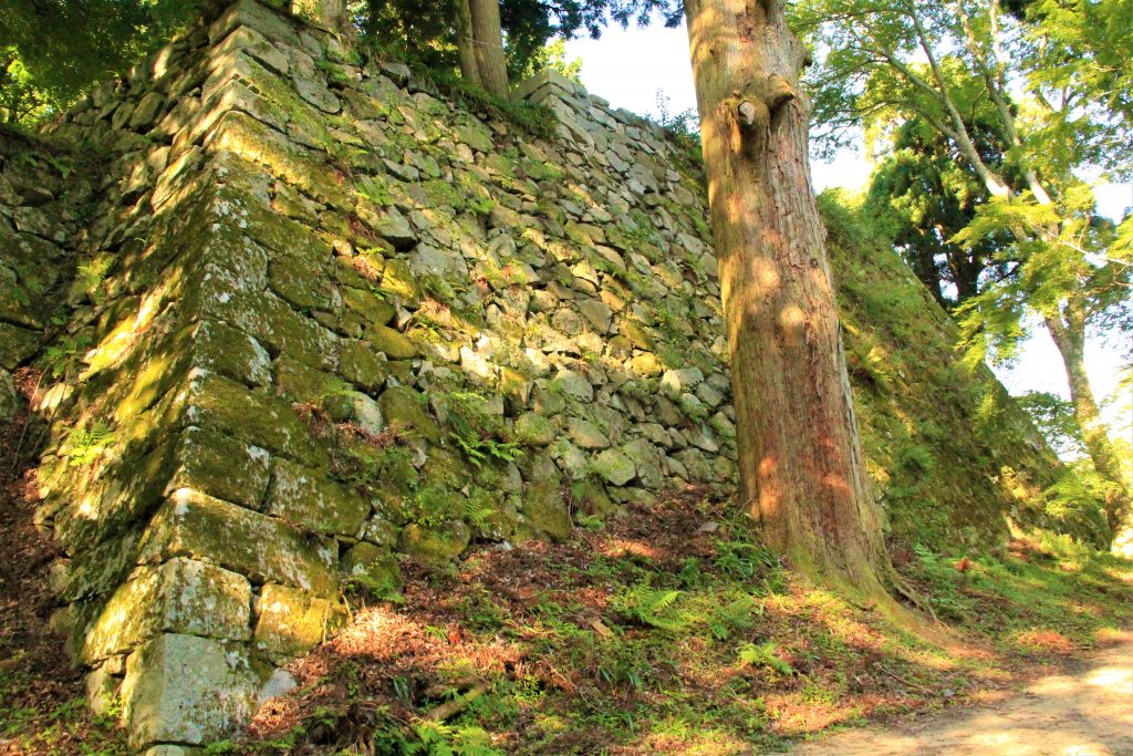 ラピュタ　神殿　奈良　奈良県　天空の城　高取城跡　高取城址　五百羅漢岩　ハイキング　ハイキングコース　壷阪寺　奈良県明日香村　日本三大山城　スタジオジブリ　人気アニメ