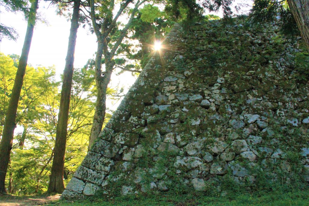 ラピュタ　神殿　奈良　奈良県　天空の城　高取城跡　高取城址　五百羅漢岩　ハイキング　ハイキングコース　壷阪寺　奈良県明日香村　日本三大山城　スタジオジブリ　人気アニメ