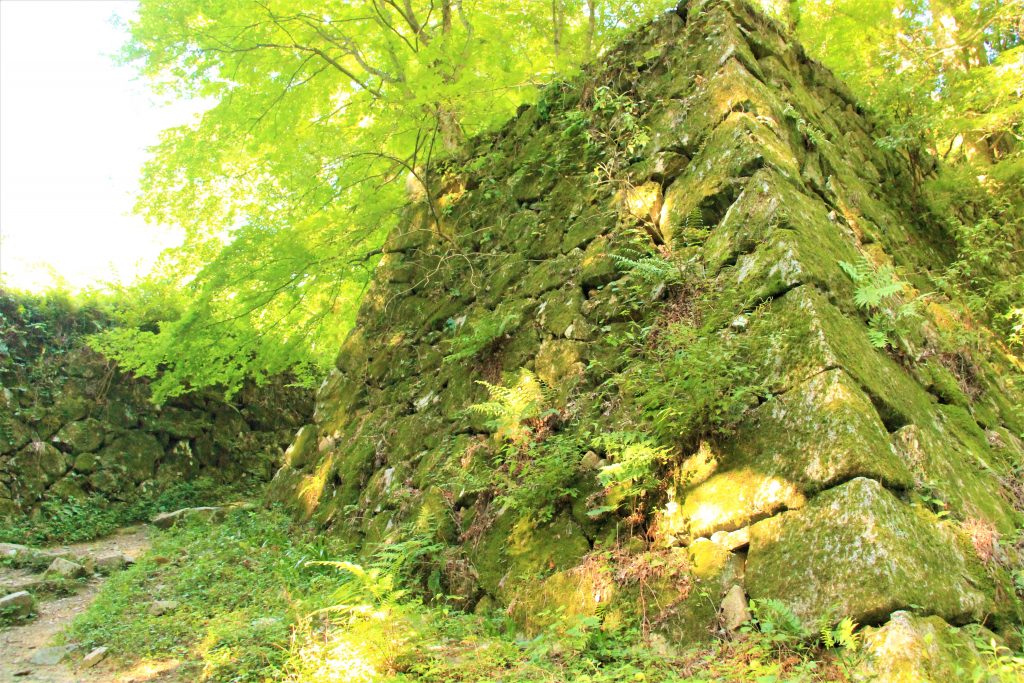 ラピュタ　神殿　奈良　奈良県　天空の城　高取城跡　高取城址　五百羅漢岩　ハイキング　ハイキングコース　壷阪寺　奈良県明日香村　日本三大山城　スタジオジブリ　人気アニメ