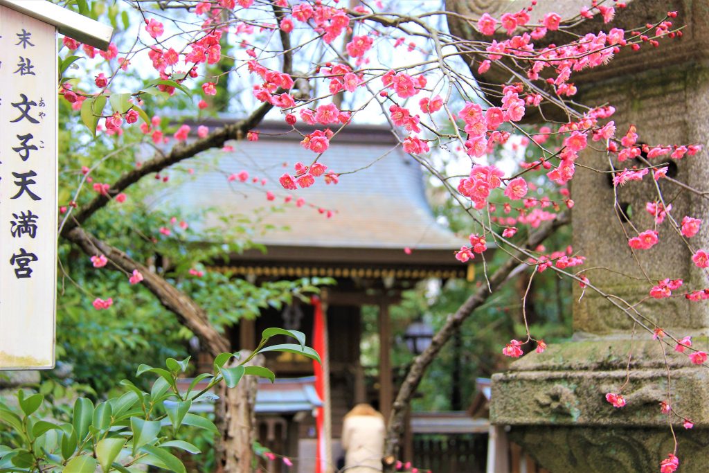 観光　京都　最強　パワースポット　巡り　恋愛　運気　アップ　神社　地主神社　清水寺　美御前社　八坂神社　晴明神社　北野天満宮　芸能神社　車折神社　アクセス　場所　行き方