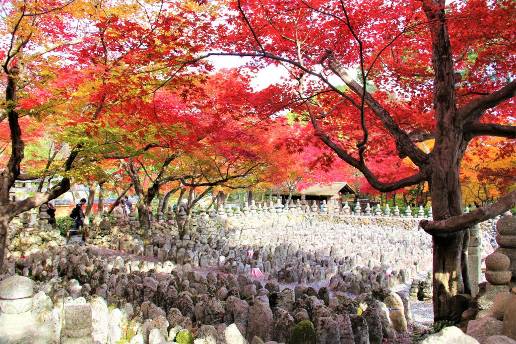 京都　観光　奥嵯峨野　紅葉　穴場　スポット　化野念仏寺（あだしのねんぶつじ）　 愛宕念仏寺（おたぎねんぶつじ）