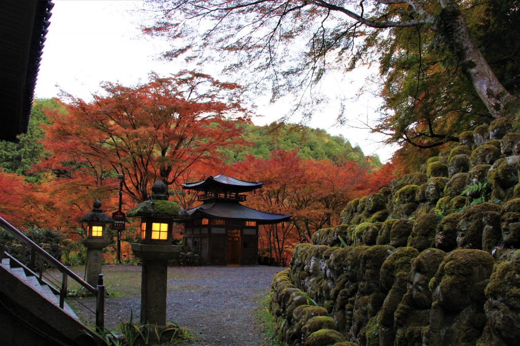 かわいい　阿羅漢　京都　愛宕念仏寺　紅葉　観光　名所　穴場　スポット　嵐山　嵯峨野　