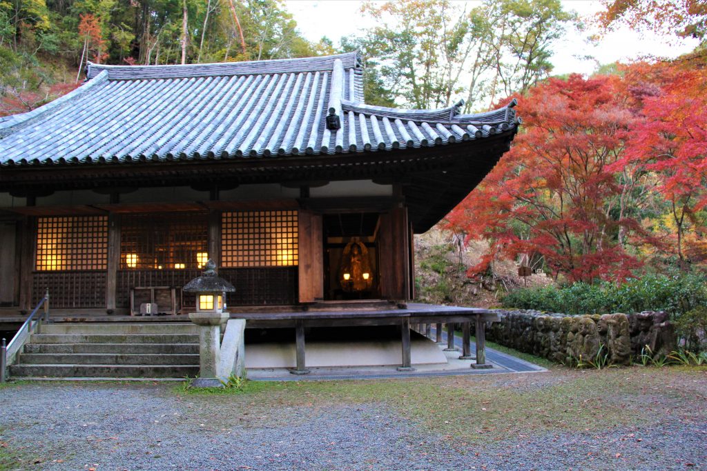 かわいい　阿羅漢　京都　愛宕念仏寺　紅葉　観光　名所　穴場　スポット　嵐山　嵯峨野　